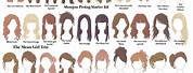 Names for Big Hairstyles