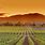 Napa Valley Wine Country California