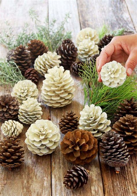 Nature Christmas Decorations
