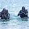 Navy SEAL Water Training