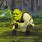 New Shrek 5
