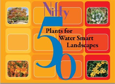 Nifty 50 Plants