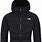 North Face Winter Jackets for Women