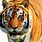 Orange Tiger Animal