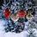 Outdoor Christmas Hanging Ornaments