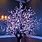 Outdoor Light-Up Trees