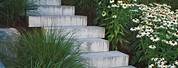 Outdoor Stone Stairs Design Ideas