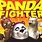 Pancada The Little Panda Fighter