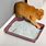 Paper Pellet Cat Litter