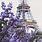 Paris Eiffel Tower Flowers