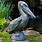 Pelican Statues Outdoor