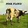 Pink Floyd Albums Cow