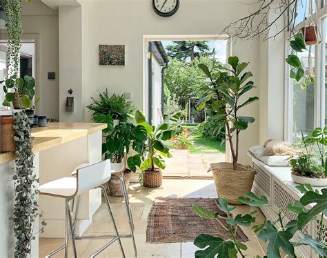 Plants Inside Home