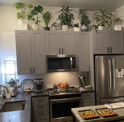Plants On Top of Kitchen Cabinet