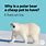 Polar Bear Puns