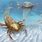 Prehistoric Sea Bugs
