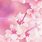 Pretty Pink iPhone Wallpaper