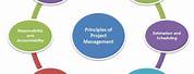 Principles of Project Management PDF