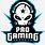 Pro Gamer Logo