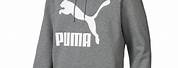 Puma Hoodie Light Heather Gray Boys