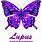 Purple Butterfly Lupus