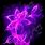 Purple Fire Flower