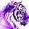 Purple Tiger Screensavers