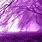 Purple Tree Night