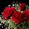 Red Rose Flower Background HD