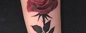 Red Rose Tattoo Forearm