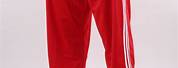 Red and White Adidas Pants