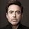 Robert Downey Jr Portrait