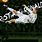 Ronaldo Air Kick