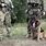 Russian Army Dog