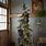 Rustic Country Christmas