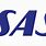 SAS Company