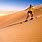 Sand Dune Surfing