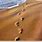 Sand Footprints Clip Art