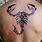 Scorpio Tribal Tattoo Designs