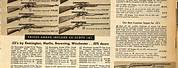 Sears Catalog Guns