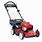 Self-Propelled Electric Start Gas Lawn Mowers