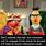 Sesame Street Bert Meme