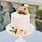 Simple Single Tier Wedding Cakes