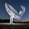 Ska Telescope South Africa