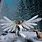 Snow Angel Background
