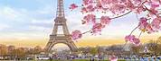 Spring in Paris France Eiffel Tower