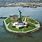 Statue Liberty Island