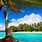 Sunny Tropical Beach Wallpaper