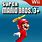 Super Mario Bros 3 Wii