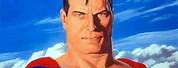 Superman Portrait Alex Ross